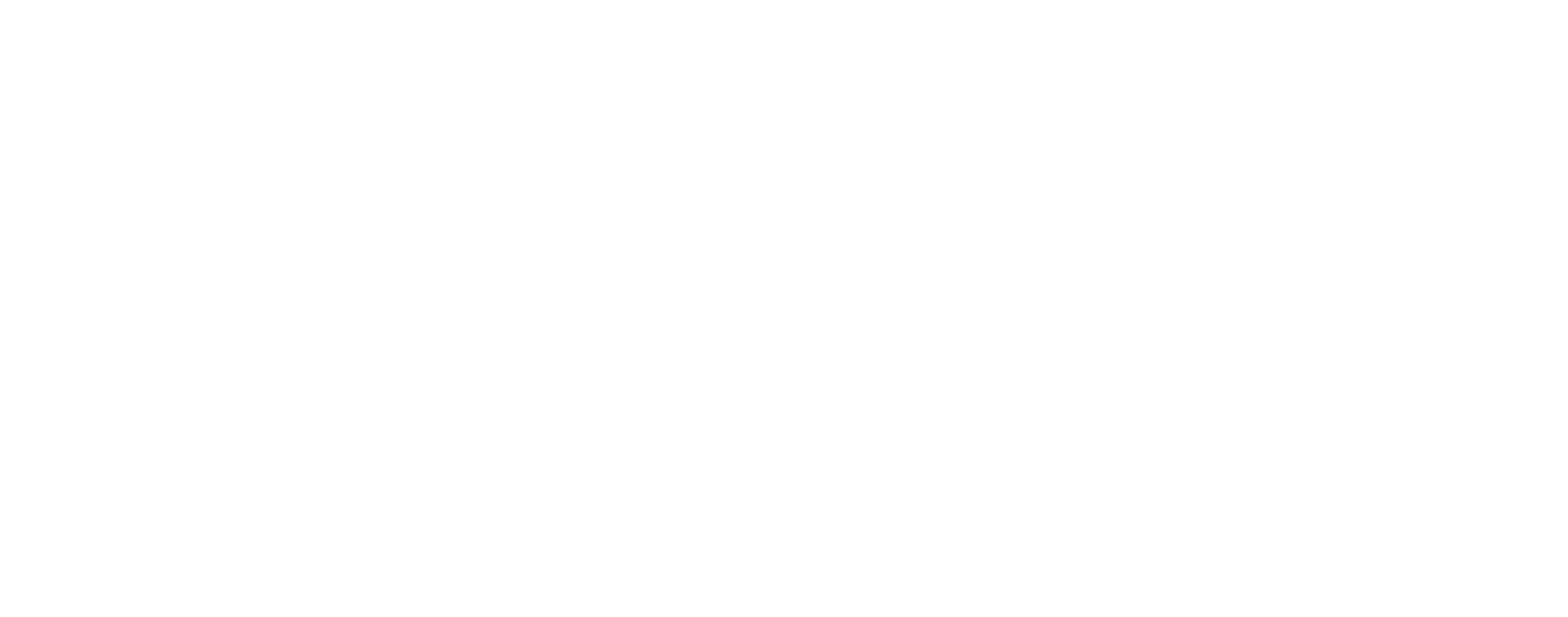 SDW_Logotype_White_Flat